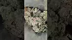UPSTATE POLARIS MIMOSA ORANGE PUNCH (UK PRESCRIPTION MEDICATION)