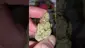 Video Thumbnail: WestPacks420