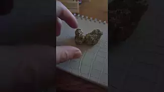 MVC MAC +1 Miracle Alien Cookies UK Medical cannabis review