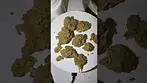 Craft Botanics T27 MAC Mac OG