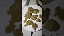 Medi Blaze Video Thumbnail