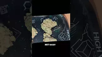 Gary Busey by 4C Labs  First Impressions | Review