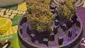 Video Thumbnail: Keep Blazing Stay Amazing