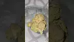 Cookies® HW T29 - Hollywood - UK Medical Cannabis Flower Review