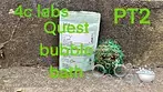 Pt2 Qwest BB T23 Bubble Bath Medical Cannabis Flower #ukmedical