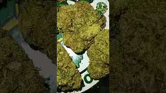 4C Labs - Pink Kush T33, what we got to say about this one,check the comments. #medicalcannabis