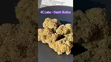 Smokey Mo Video Thumbnail