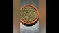 Video Thumbnail: THC Bunny