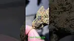 4C Labs Craft Select DB T26 Death Bubba - (Deathstar x Bubba Kush) Indica Dominant - Very smooth