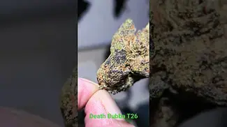 4C Labs Craft Select DB T26 Death Bubba - (Deathstar x Bubba Kush) Indica Dominant - Very smooth