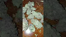Medical420TV Video Thumbnail