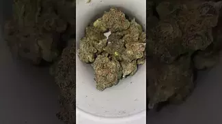 Aurora pedanios ( Farm gas  T27 )