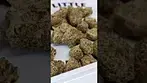 Next Friday Blueberry Fuego review in description