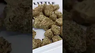 Next Friday Blueberry Fuego review in description