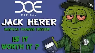 DOE Medical | Jack Herer Medical Cannabis review #doemedical #doe   #cannabiseducation  #jackherer