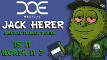 CheeseMon4 Video Thumbnail