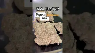 Papers T29 Yoda Cap weight