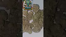 AzztecMedia Video Thumbnail