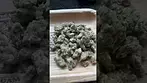 Legal medical, medicus Apple fritter 26%thc 1%cbd #medicus #mensmentalhealth #ukmedicine #medicated