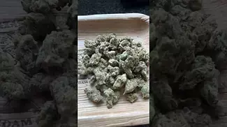 Legal medical, medicus Apple fritter 26%thc 1%cbd #medicus #mensmentalhealth #ukmedicine #medicated
