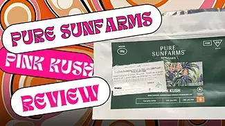 Pure Sunfarms - Pink Kush | UK Medical Review | Latest Batch 2024 