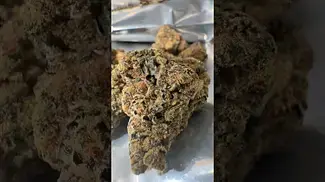 TFN RPR |Super Sherb| UK Medical Flower #medicalcannabis #ukmedicalcannabis