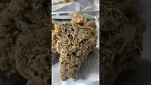 Vybzz 420 Video Thumbnail