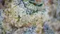 Video Thumbnail: Smacksalad