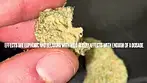 Mac Doughnuts Medical - Strain Reviews #44