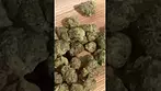 Uklegal #bignarstie medical Pink Gasoline 28%thc1%cbd #shorts #medicated #mentalhealthawareness #uk