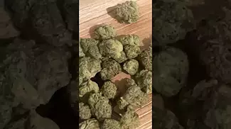 Uklegal #bignarstie medical Pink Gasoline 28%thc1%cbd #shorts #medicated #mentalhealthawareness #uk
