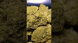 PURO BISCOTTI PIPPEN (UK PRESCRIPTION MEDICATION)