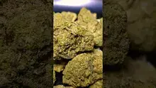PrescribedBouquet Video Thumbnail