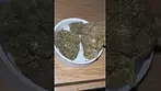 UK Medical -Sour Dough by Aurora ukmedical shorts