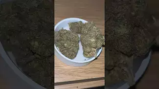 UK Medical -Sour Dough by Aurora ukmedical shorts