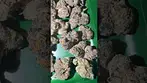 Cookies cereal milk UK medical #uk #medical #patient #flowers #youtubeshorts #uk