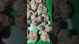 Cookies cereal milk UK medical #uk #medical #patient #flowers #youtubeshorts #uk