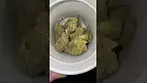 Aurora - Pink Diesel