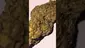 Video Thumbnail: Mary Jane Media 420