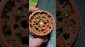 Death Budda 26%THC...4C labs..... medical prescription cannabis.