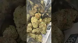 Grapefruit gift - curaleaf