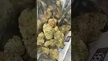MBUK Video Thumbnail