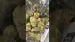 Video Thumbnail: MBUK