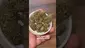 Video Thumbnail: 26wrld