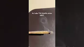 4c Labs T24 khalifa mints KRFT burn