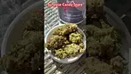 Sundaze Candy Store #ukmedicalcannabis #painrelief #cannabiscommunity #medical #plantmedicine