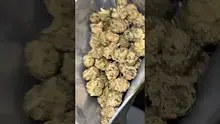 Adz Canna Video Thumbnail