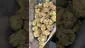 Video Thumbnail: Adz Canna