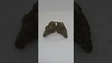 HighStandards420 Video Thumbnail