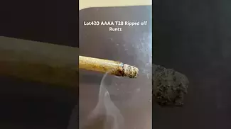 Lot420 AAAA T28 Ripped off Runtz burn